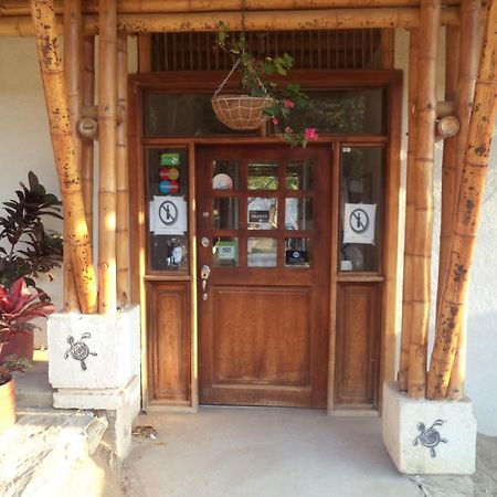 La Tortuga Hostel Taganga Zewnętrze zdjęcie