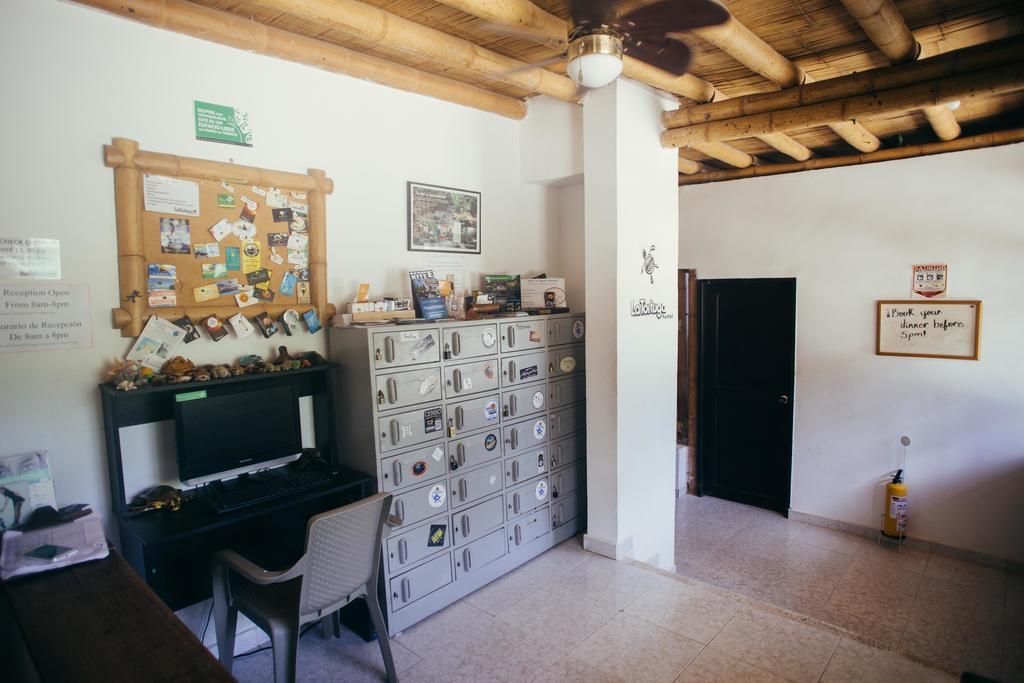 La Tortuga Hostel Taganga Zewnętrze zdjęcie