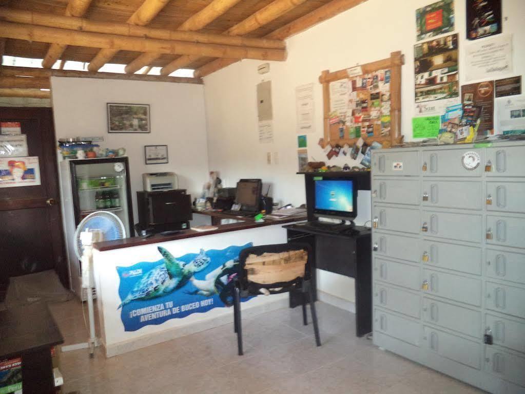 La Tortuga Hostel Taganga Zewnętrze zdjęcie